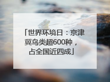 世界环境日：京津冀鸟类超600种，占全国近四成